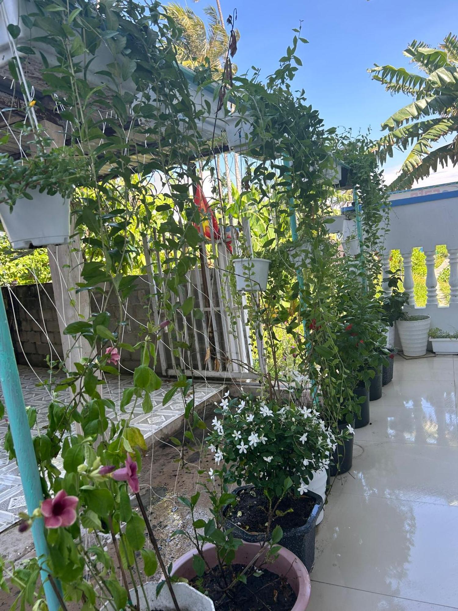 I Hostel Muine - A Little White Homestay By The Sea Mũi Né Extérieur photo